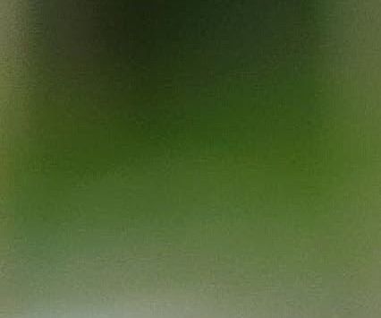 unsplash_DM2Gr9U7lHo