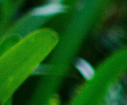 unsplash_U6u_A5z6mME