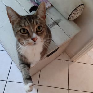 Franzi