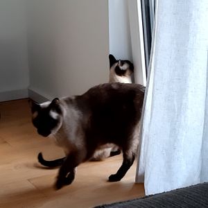 Amelie und Aaron