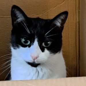 Jack