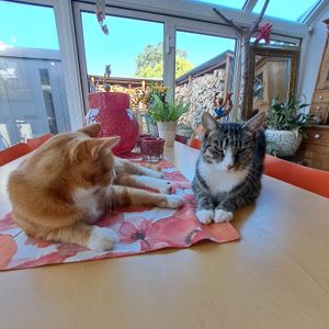 Oskar und Samson