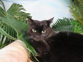 Lucy aus Aßlar