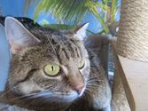 Mia aus Haiger