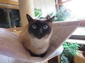 Maisie aus Dillenburg