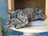 Mia aus Marburg