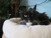 Josy aus Dillenburg