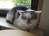 Charly aus Gladenbach