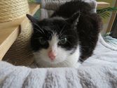 Kelly aus Dillenburg