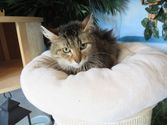 Monty aus Siegen