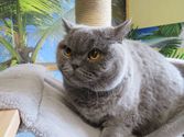 Sally aus Burbach