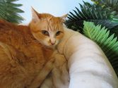 Lilli aus Stadtallendorf
