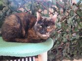 Marley aus Bad Homburg