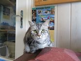 Bonny aus Bischoffen
