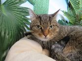 Lucy aus Bad Endbach