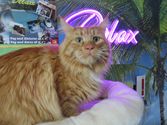 Thomas aus Seck