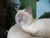 Minkie aus Dillenburg