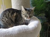 Lilly aus Gießen