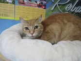 Lilli aus Stadtallendorf