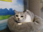 Lucy aus Bad Endbach