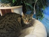 Luna aus Bad Endbach