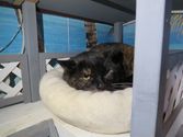 Lucy aus Angelburg