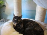 Marley aus Bad Homburg