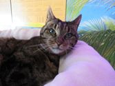 Mia aus Marburg