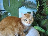 Lilli aus Stadtallendorf