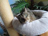 Mia aus Marburg