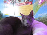 Marley aus Bad Homburg