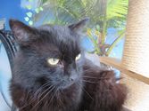Maxi Wase aus Marburg