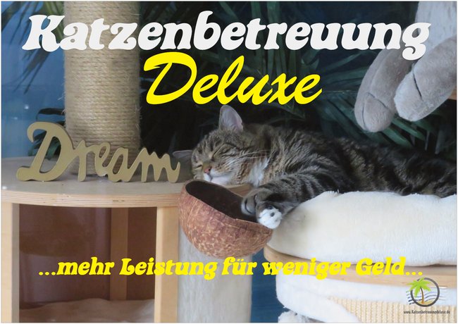 Chester aus HOHENAHR !