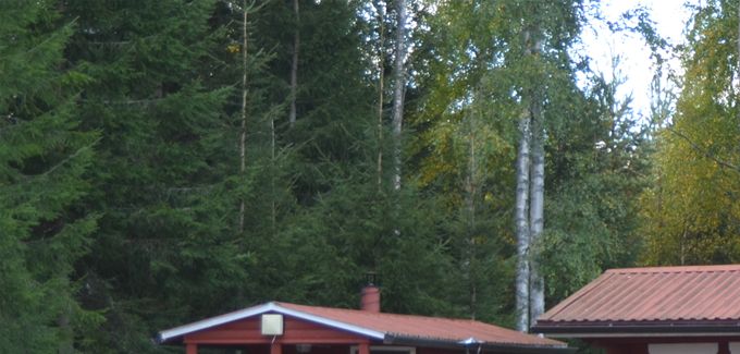 Saunarakennus ja palju sekä aitta