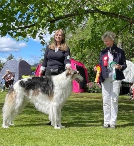 
04.June 2022
The Norwegian Sighthound club, Gran: Ch Kazar Yaztrakan went Best of Breed under Elisabet Janzon, S.
05.June 2022
The Norwegian Greyhound Club, Gran. Ch Kazar Yaztrakan was Best of Breed under judge Jaime Ganoza.