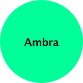 Ambra