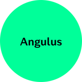 Angulus