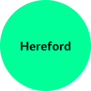 Hereford Steak