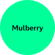 Mulberry