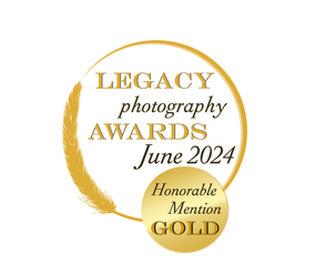 Honorable mention Gold