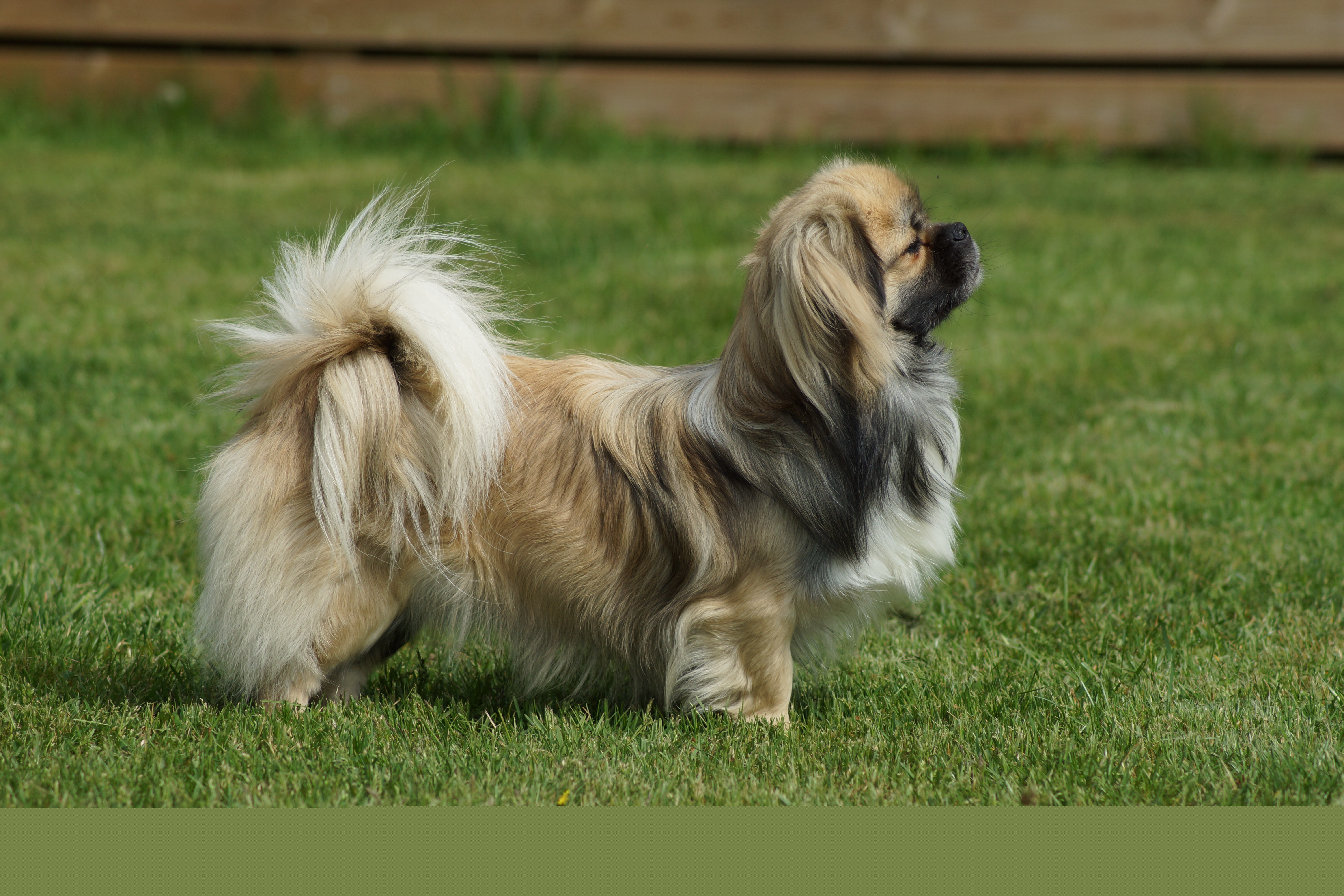 Cim-Cill More Of Me (Basse)