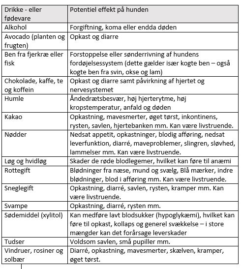 Forgiftnings liste for hunde