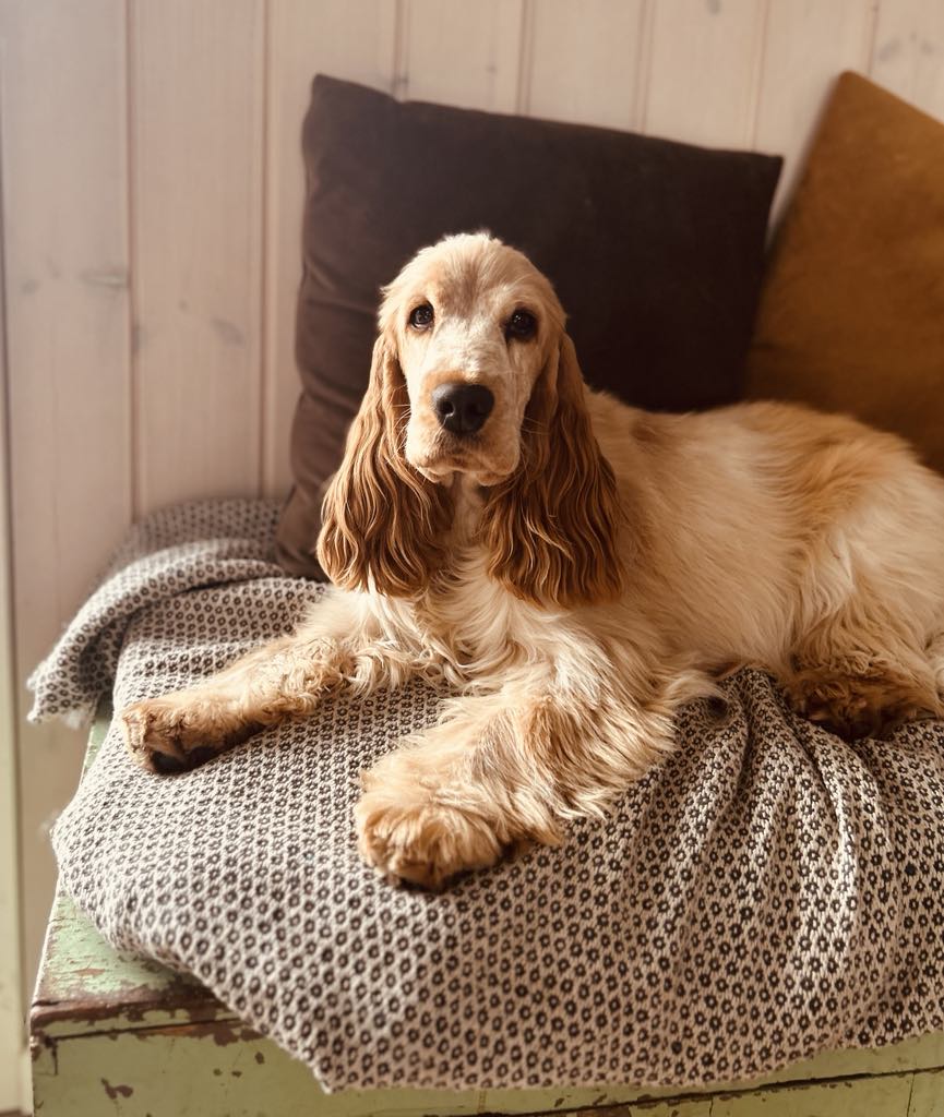 att.EKhW5jfmKECS4th58KRgMBq073ShYP8JX24vDj5-U8c