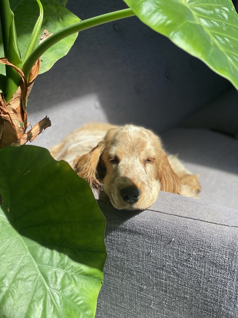 att.KMz_pNIc5SoWu0m2bArqMXuG2p1z8TsP3sHk9kXPnxY