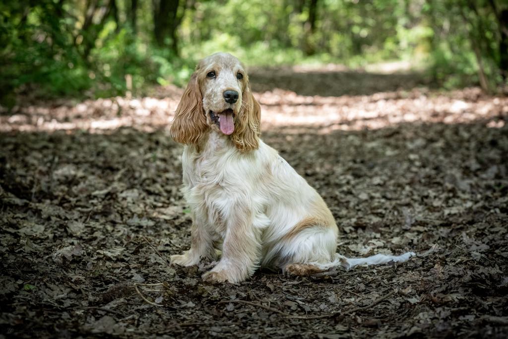 att.PohqWpyM2ZHRZslqGs64d-oOr2gwe7HWetONty4QYeM