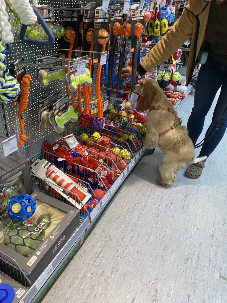 att.mOBp8AkWLbGYKQOv7Dk7cTnZRxAONvz8mQuZiT0US8E