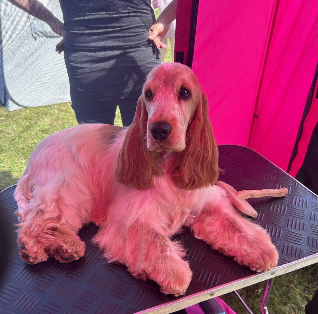 att.mXnnsj-pzf_pennSyLdnuMfx54lJ8hvDkXJ_Fc-mLuA