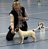 15.10.2023 DTK Hårlev -  Lovende
