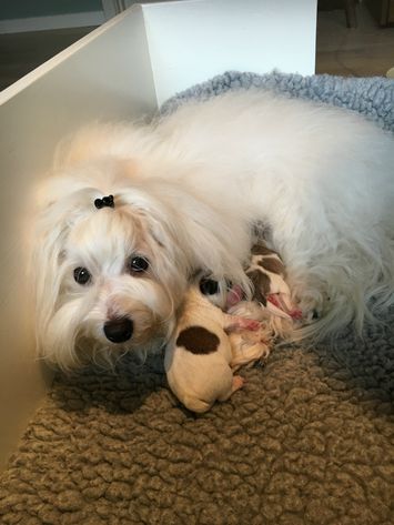 Sia er så glad for de små