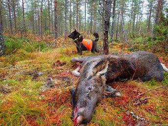 Kuva Tommi Niskakangas